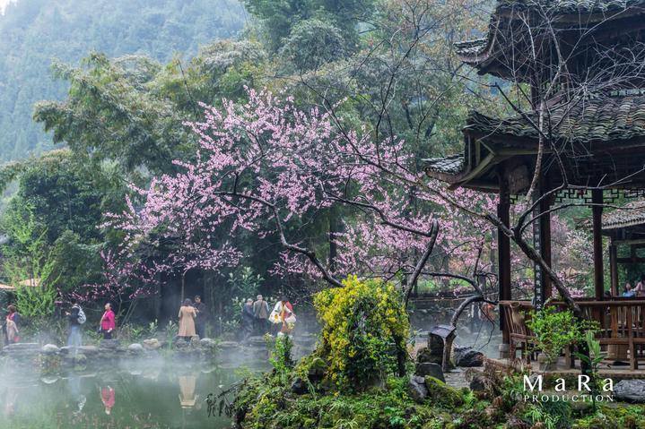 逗小猴开心系列207